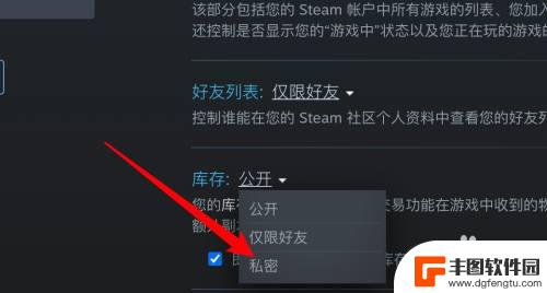 怎么让steam好友看不到自己的库 Steam怎么将库存设置为私密状态