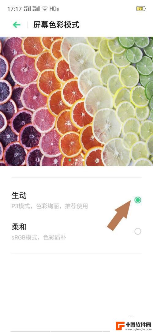 oppo手机屏幕怎么选 oppo手机屏幕色彩模式设置方法