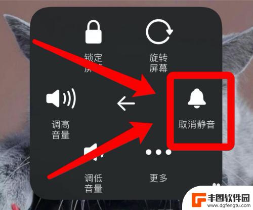 为什么ipad原神没声音 如何在苹果手机上设置原神外放声音