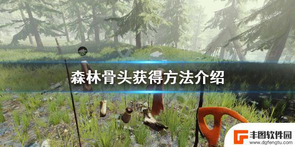 steam森林如何制作骨甲 骨头获取方法分享《森林》游戏攻略