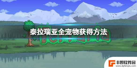 如何领取泰拉瑞亚新增宠物 宠物获取方法详解《泰拉瑞亚》