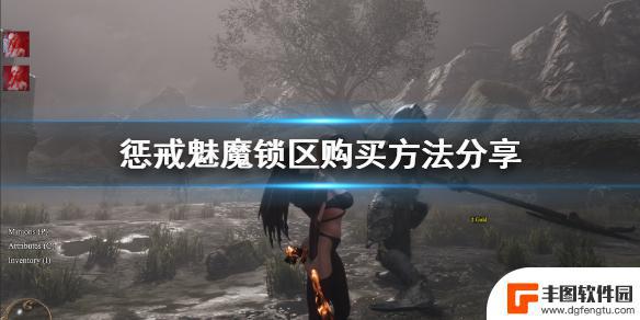 steam惩戒魅魔怎么买 惩戒魅魔游戏锁区购买指南