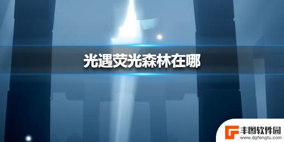 sky光遇荧光森林在哪里 光遇荧光森林在哪