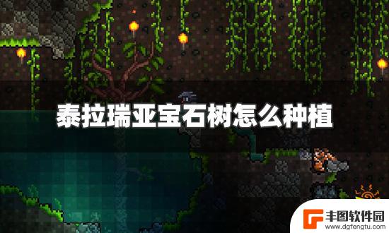 泰拉瑞亚地下树怎么种 泰拉瑞亚宝石树种植方法