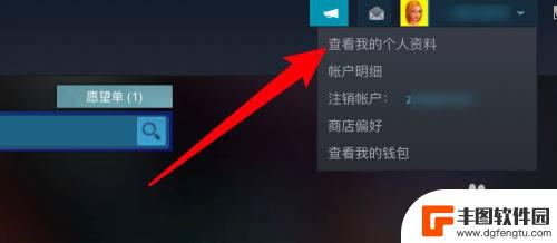 怎么关steam好友游戏 Steam怎么不让好友看到我在玩哪款游戏