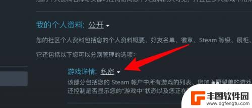 怎么关steam好友游戏 Steam怎么不让好友看到我在玩哪款游戏