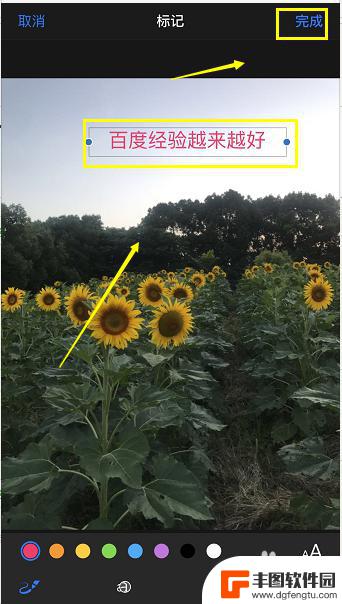 苹果手机给图片加文字 iPhone怎么编辑照片并添加文字