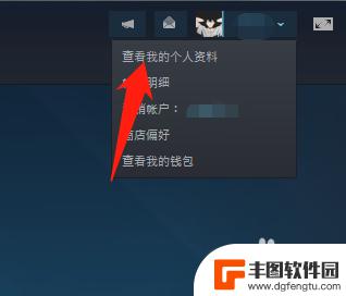 steam怎么让别人看到我在玩什么 Steam好友怎么看不到我在玩什么游戏