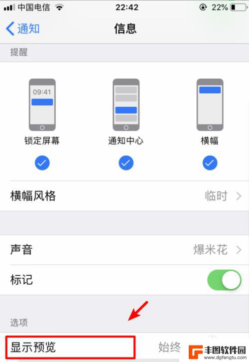 苹果手机的短信怎么设置不显示内容 如何设置iPhone手机短信内容不显示