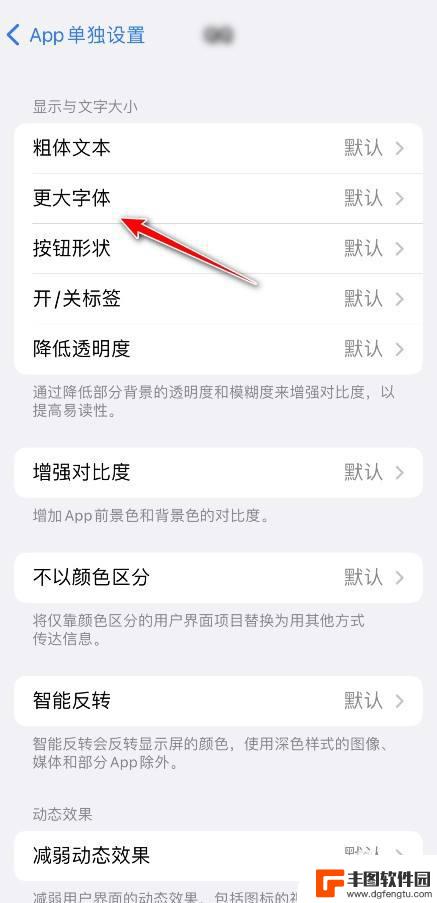 苹果手机如何调整app字体大小 iPhone 如何设置特定应用程序的字体大小