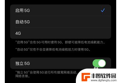 苹果125g手机怎么用4g网络 苹果12如何从5G改为4G网络