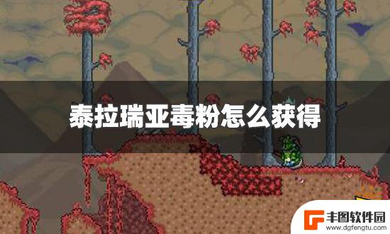 泰拉瑞亚中的毒粉怎么制作 泰拉瑞亚毒粉怎么获得