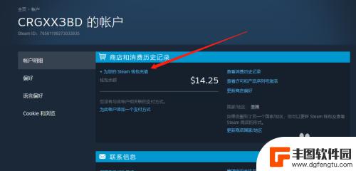 steam如何充值5元 steam如何用5美元充值