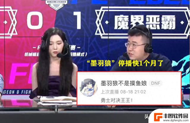 DNF：真的要退游了？“墨羽狼”已经停播一个月了，至今没有回归