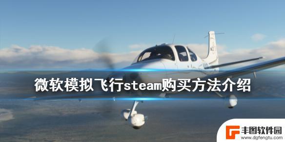 微软模拟飞行2020 steam 《微软模拟飞行2020》steam购买方式