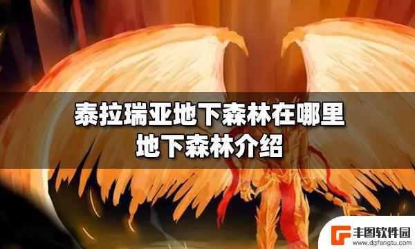 泰拉瑞亚森林神龛 泰拉瑞亚地下森林在哪个层级