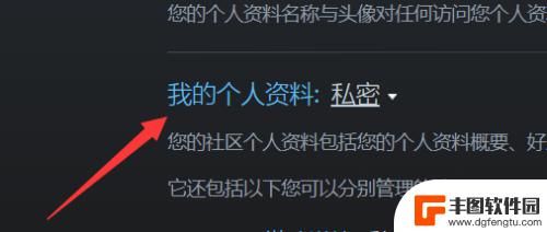 steam设置公开个人资料 Steam资料怎么公开设置