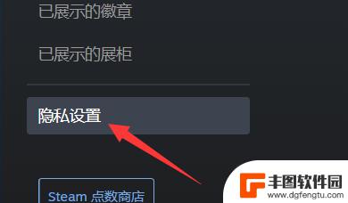 steam设置公开个人资料 Steam资料怎么公开设置