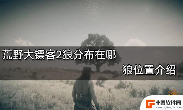 荒野大镖客完美狼位置 荒野大镖客2狼洞穴在哪里