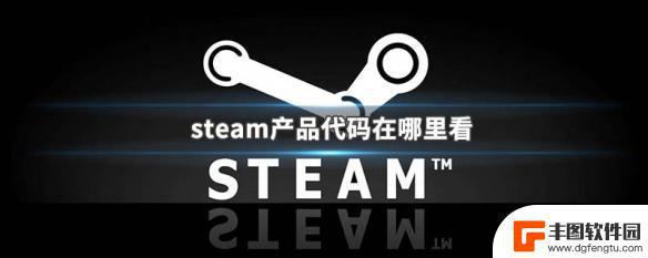 steam买游戏代码怎么找 Steam产品代码在哪里获取