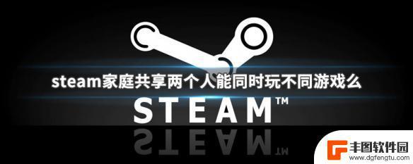 steam玩共享的游戏有成就吗 Steam家庭共享能否同时玩不同游戏