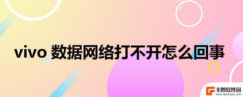 vivo手机网络连接不可用怎么解决 vivo手机打不开数据网络的解决方案