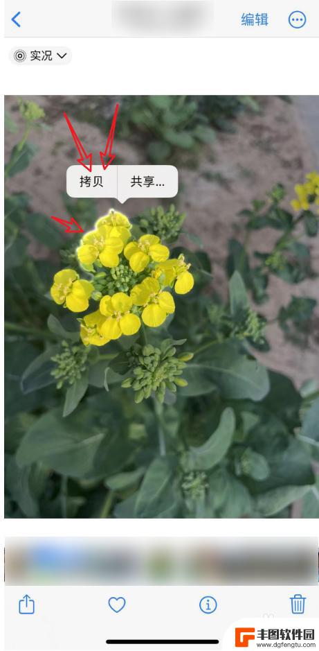 苹果手机照片提取人物后怎么保存 苹果手机抠图后如何保存