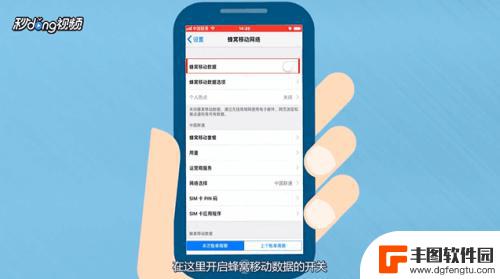 苹果手机咋开流量数据 iPhone手机怎么设置数据流量