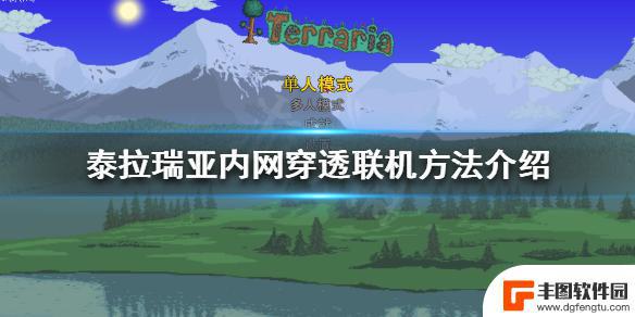 泰拉瑞亚手机电脑怎么联机 泰拉瑞亚内网穿透联机方法介绍