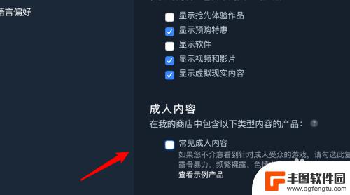 steam怎么设置小黄车 Steam如何设置允许显示成人内容