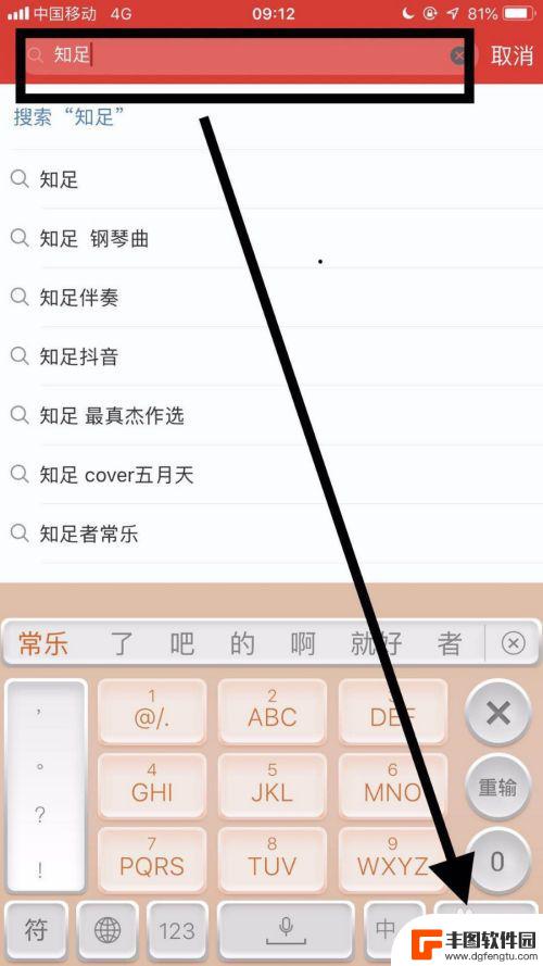 苹果手机网易云音乐歌词 iPhone 网易云音乐 歌词显示步骤