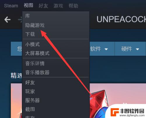 steam查看隐藏的游戏 steam如何查看隐藏的游戏