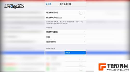 苹果手机数据怎么打开 苹果手机移动数据开启和关闭的操作指南
