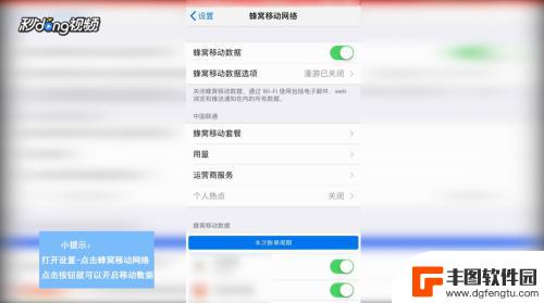 苹果手机数据怎么打开 苹果手机移动数据开启和关闭的操作指南