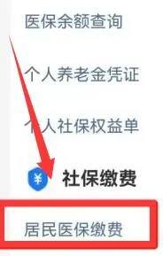 手机上如何交农村医保 农村医保手机上交怎么操作