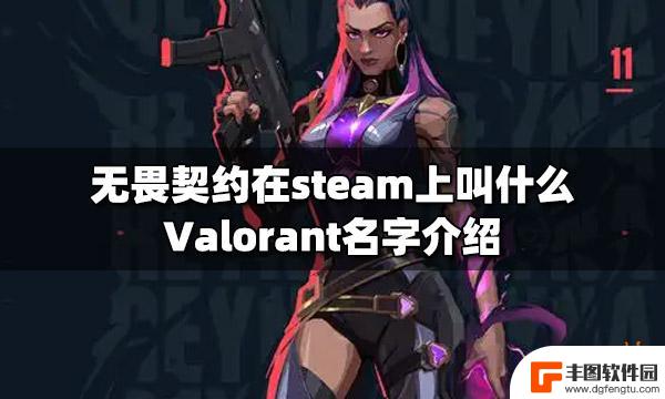 steam上瓦罗兰特 Valorant无畏契约steam评价