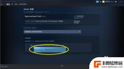 steam战争雷霆怎么退款 Steam购买的DLC退款方法